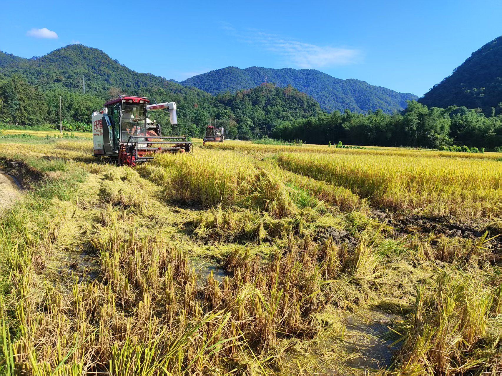 86f36782fc89e436626204fdb8b1e47